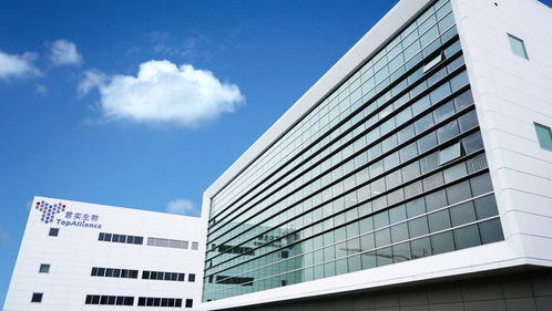 2019上海區(qū)域經(jīng)濟(jì)觀察 新舊動能轉(zhuǎn)換關(guān)鍵期,新興產(chǎn)業(yè)步入 起飛通道